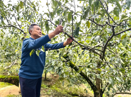 四平搬家,选择哪家才靠谱?选购指南