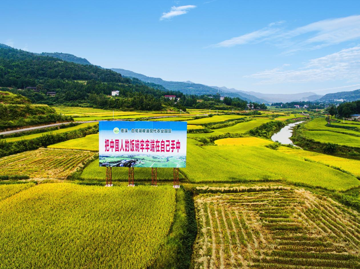 图片6.png