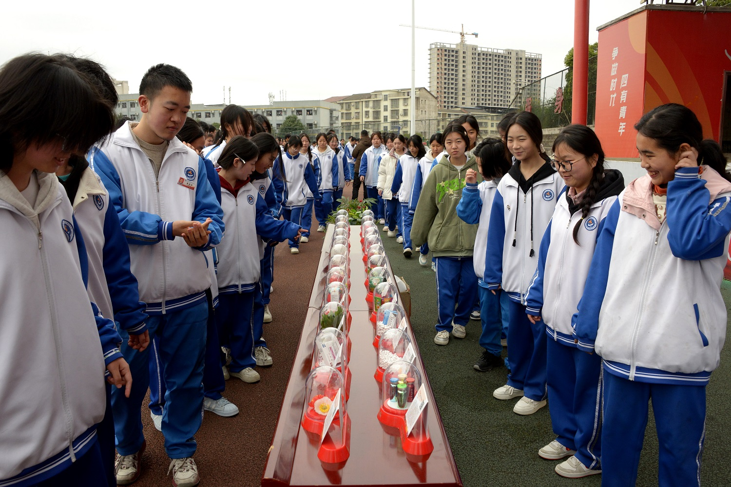 图片6.png