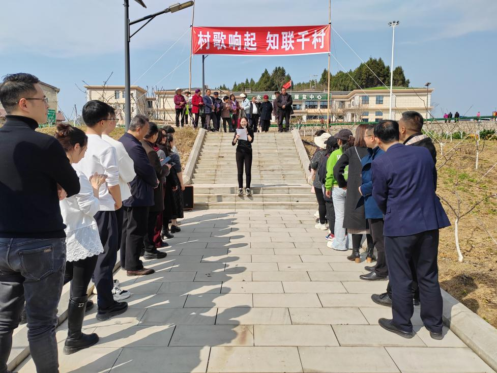 图片11.png