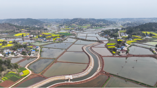资阳雁江:春耕保障实 稳产增收根基牢508.png