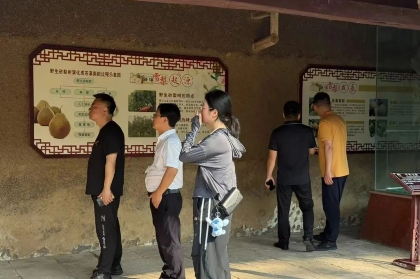 微信截图_20250721141653.png